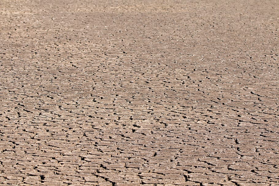 drought, ground, cracks, dehydrated, dry, swamp, landscape HD wallpaper