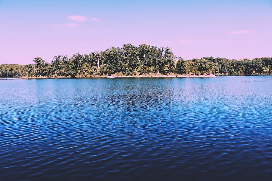 landscape photography of body of water with green trees beside, body of water across forest at daytime HD wallpaper