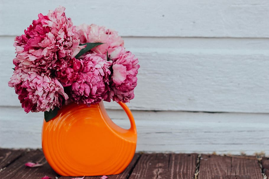 pink flowers on orange ceramic vase, landscape photography of red clustered flowers on orange pot