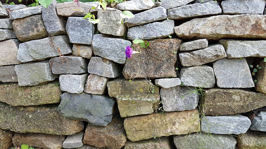 Stone Wall, Flowers, Pattern, stone Material, wall - Building Feature HD wallpaper