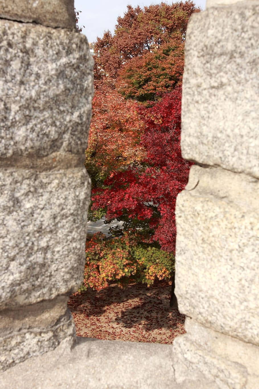 suwon, mars, autumn, castle, high, world cultural heritage HD wallpaper