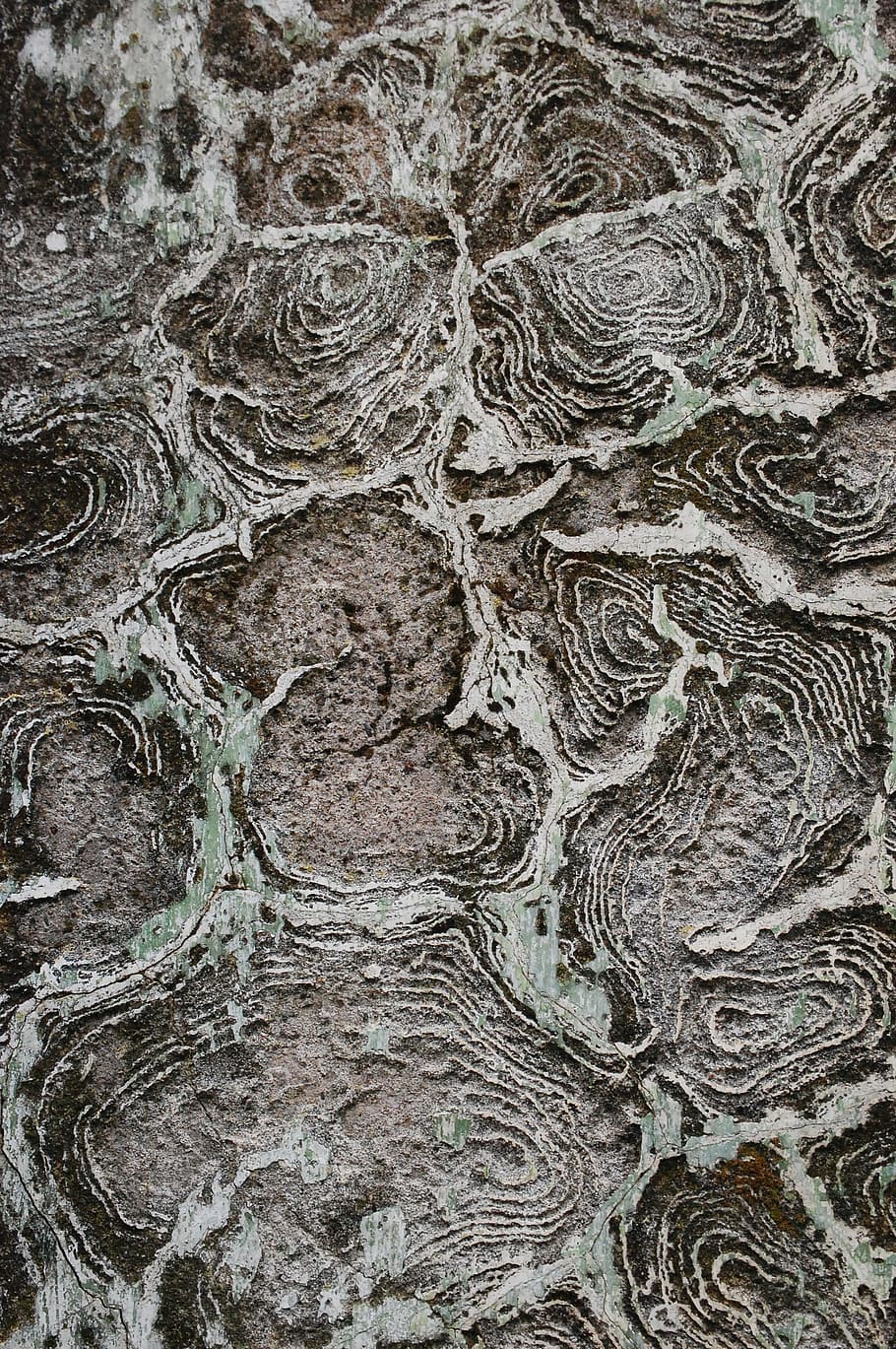 texture, wall, old, rough, wall texture, damaged, concrete HD wallpaper