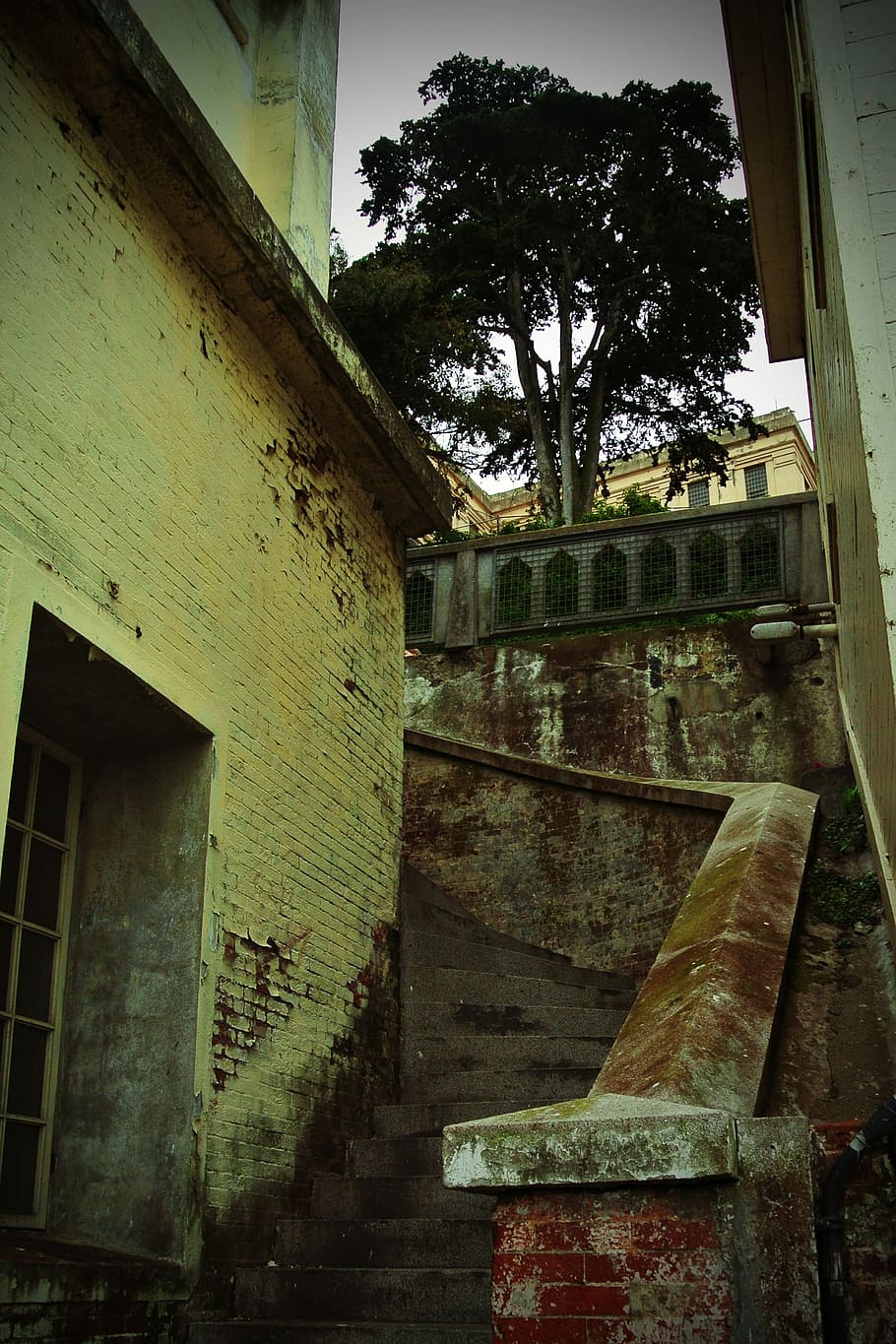 Ruin, Lapsed, Building, Alcatraz, leave, old, atmosphere, old building HD wallpaper