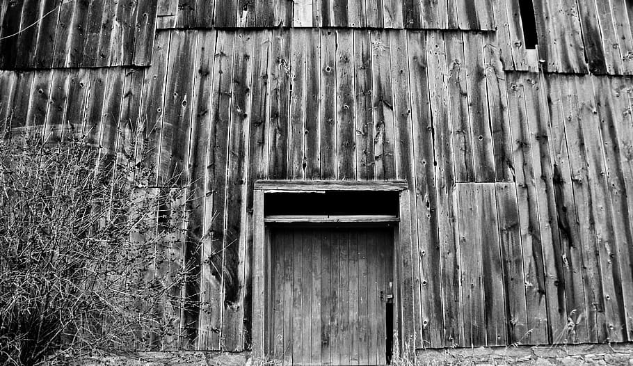 barn, rustic, rural, rough, timber, texture, board, wooden HD wallpaper