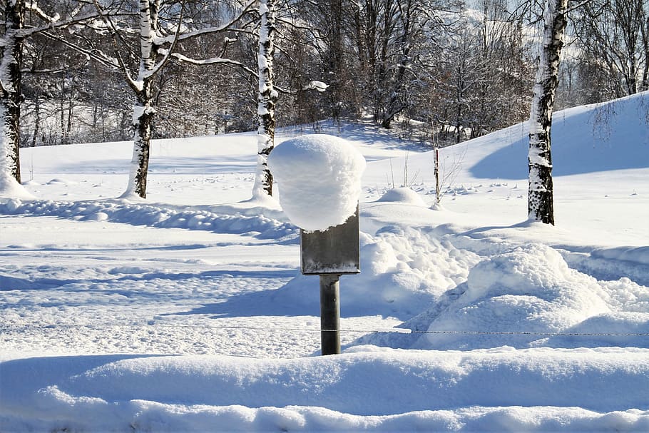 winter, snow, cold, trees, wintry, nature, advent, christmas HD wallpaper