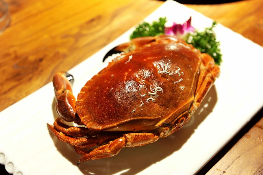 Crab, crab 1, crab 2, food and drink, close-up, healthy eating HD wallpaper