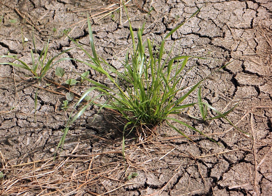 Ground, Earth, Drought, Dehydrated, cracks, cracked, dry, nature HD wallpaper