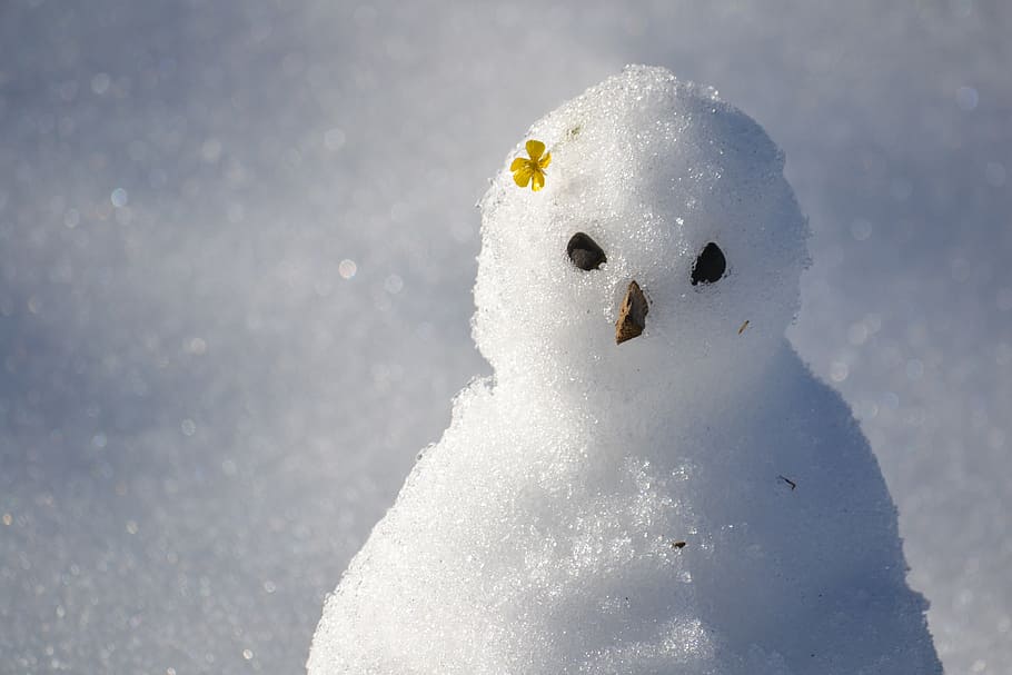 shallow focus photography of snowman, snow man, winter, cold - Temperature HD wallpaper