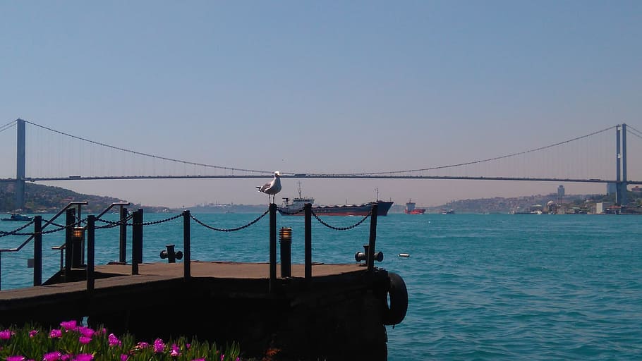 bosphorus, istanbul, turkey, water, sky, sea, nature, clear sky HD wallpaper
