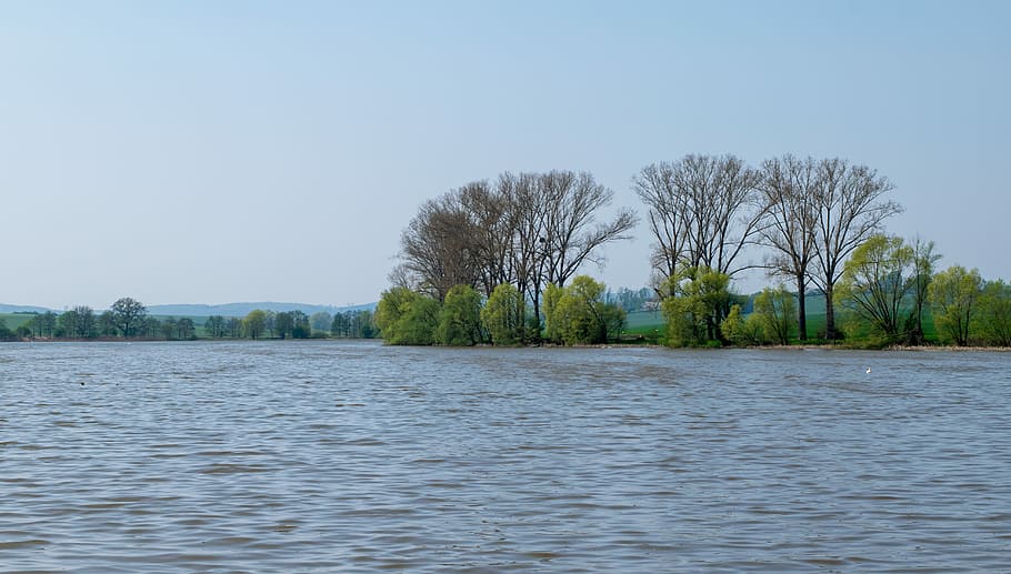landscape photo of tree near body of water, waters, nature HD wallpaper