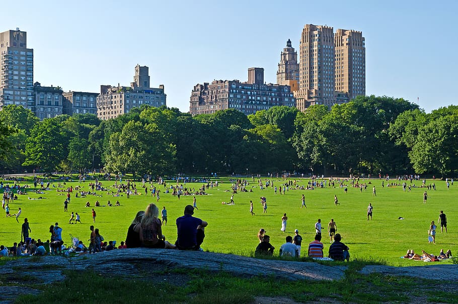 people on field during daytime, Central Park, Nyc, Manhattan HD wallpaper