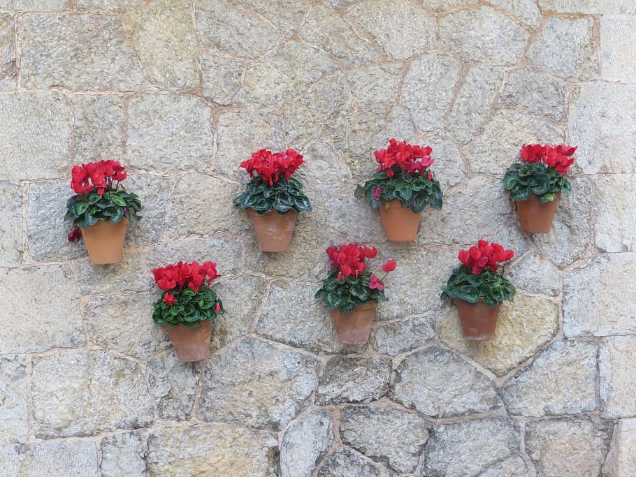 Wall, Decoration, Flower, Pots, Harmony, flower pots, flowers HD wallpaper