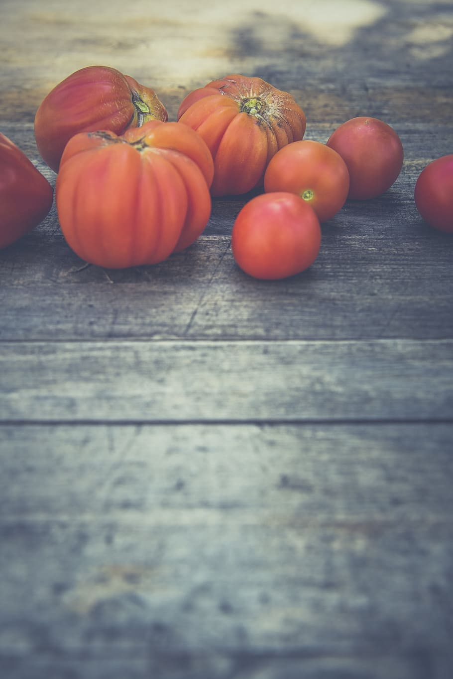 agriculture, bloom, breed, breeding, childhood, controlled farming HD wallpaper