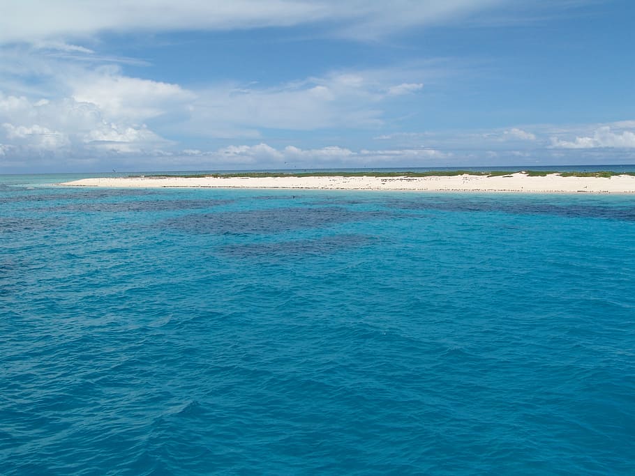 sandbar surrounded by blue ocean, great barrier reef, diving HD wallpaper