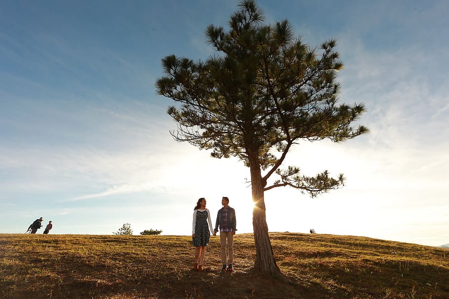 landscape, tree, outdoors, nature, sky, plant, real people HD wallpaper