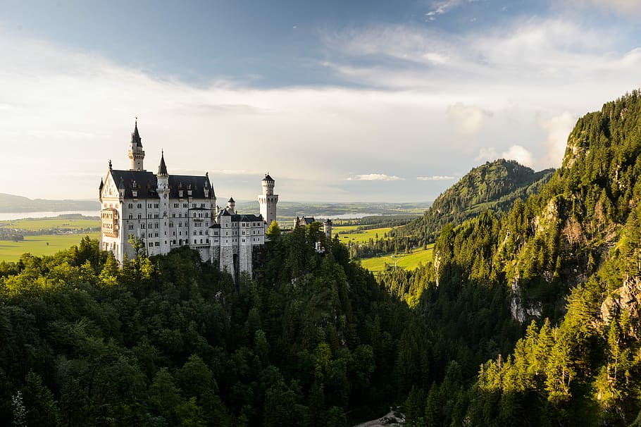 white and black castle, castle near trees, building, architecture HD wallpaper