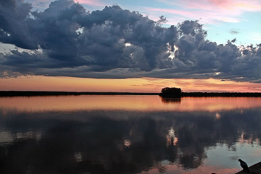 water, reflection, bird, pond, sunset, sky, clouds, outdoors HD wallpaper