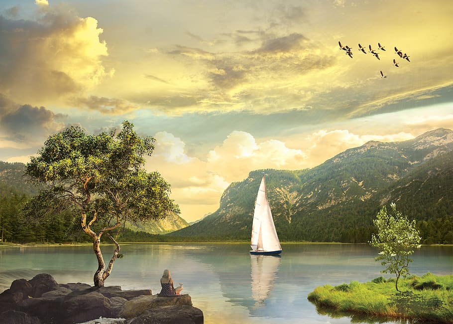 water, nature, landscape, sky, tree, cloud - sky, plant, beauty in nature HD wallpaper