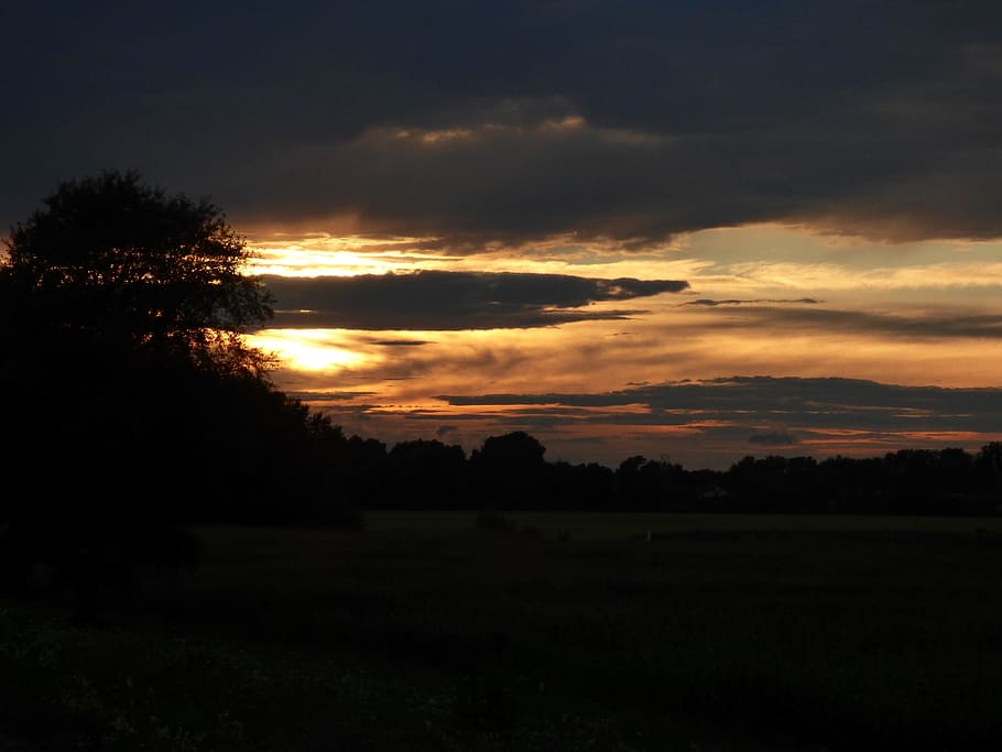 country, nature, tree, sunset, slovakia, the sky, tranquility HD wallpaper