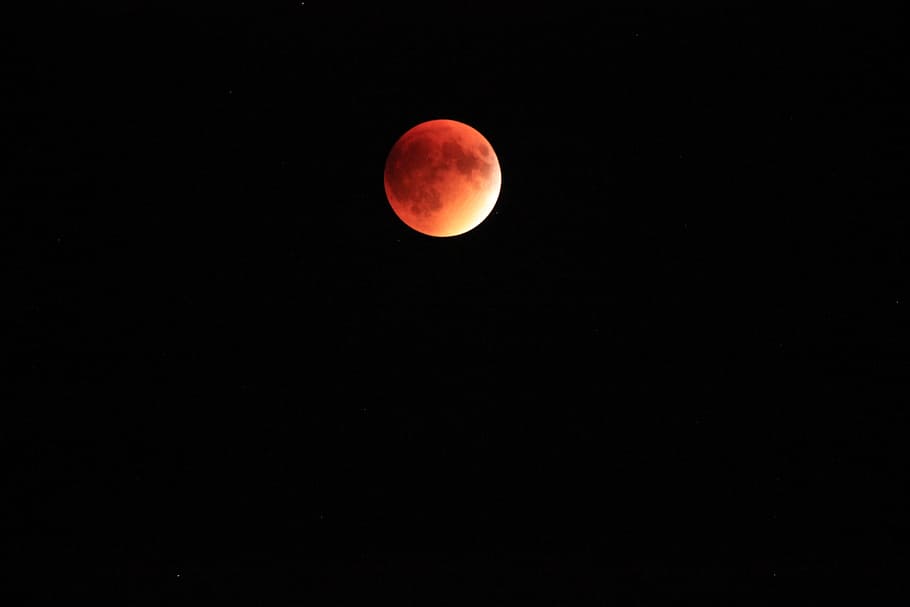 Blood Moon, Backdrop, Night, galaxy, astronomy, space, planet HD wallpaper