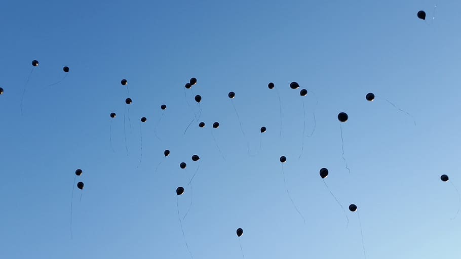 balloons, sky, ceremony, summer, outdoor, dom, blue, nature HD wallpaper