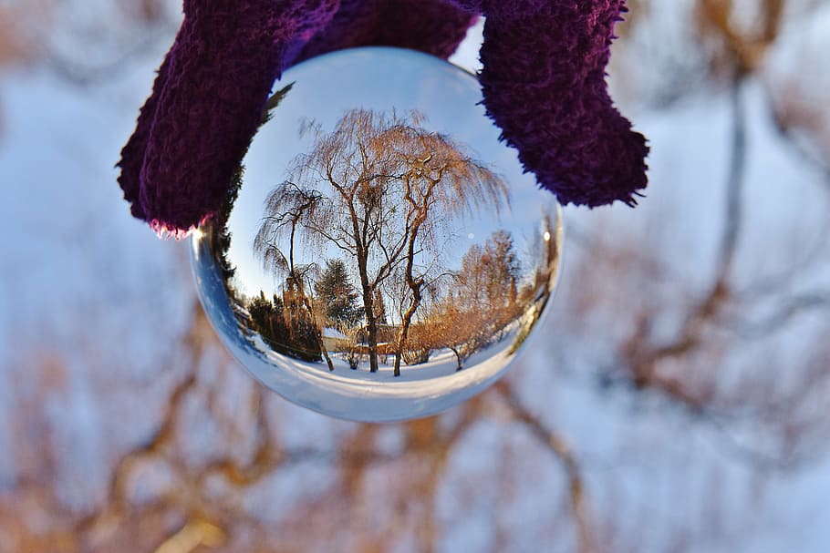 person holding ball mirror, glass, mirroring, trees, glass ball HD wallpaper