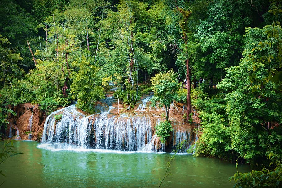 stream, water, nature, green, trees, river, mountain, forest HD wallpaper