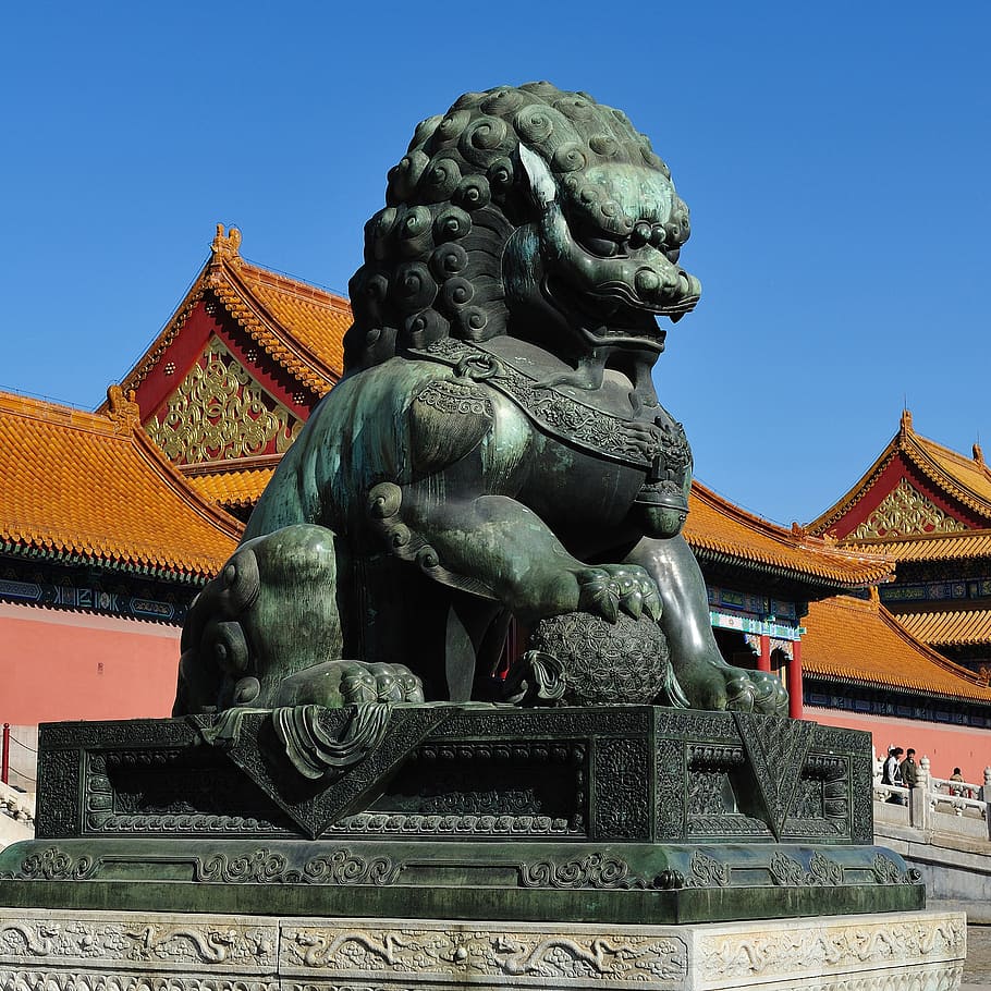 black foodog statue, lion, character, beijing, the national palace museum, HD wallpaper