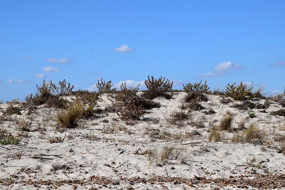 dune, sand, beach, wide, sky, sand beach, mediterranean, dune grass, HD wallpaper