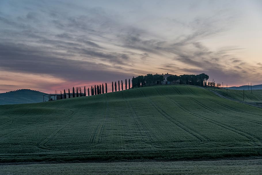 lawn green grass field with silhouette of poles at distance under gray sky during sunrise HD wallpaper