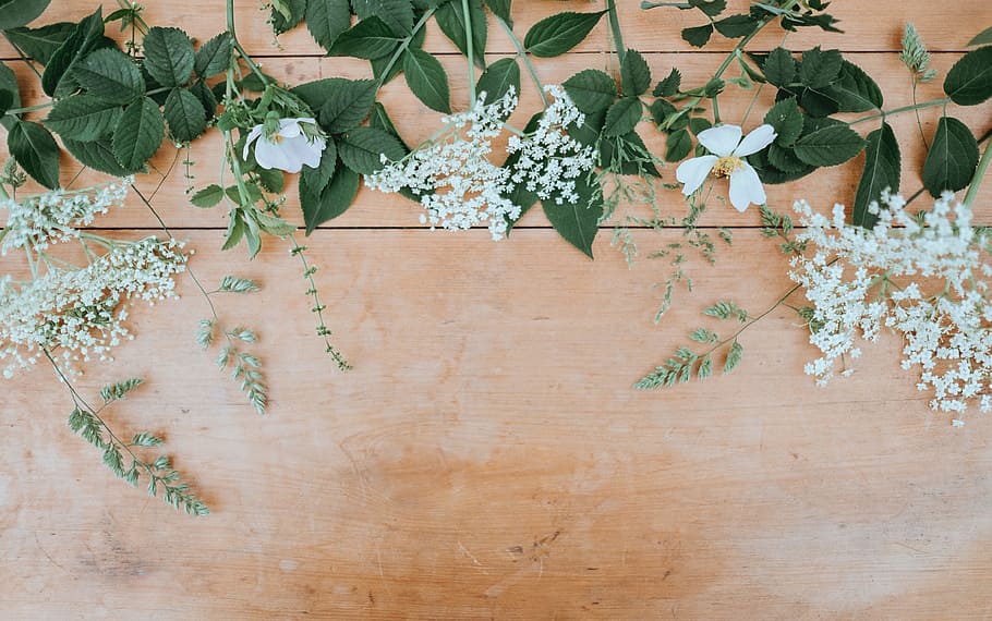 white petal flower on brown wooden parquet, table, green, leaf HD wallpaper