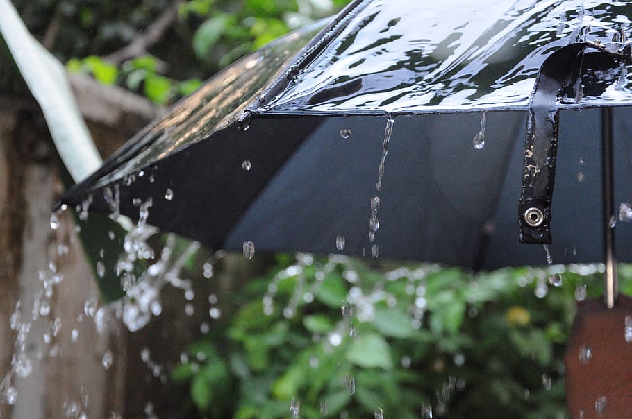 water, umbrella, day, wet, drop, nature, outdoors, focus on foreground HD wallpaper