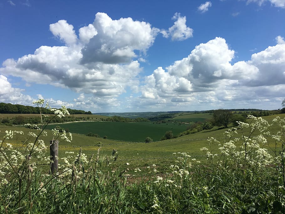 cumulus, fields, ridgeway, sky, nature, rural, agriculture HD wallpaper