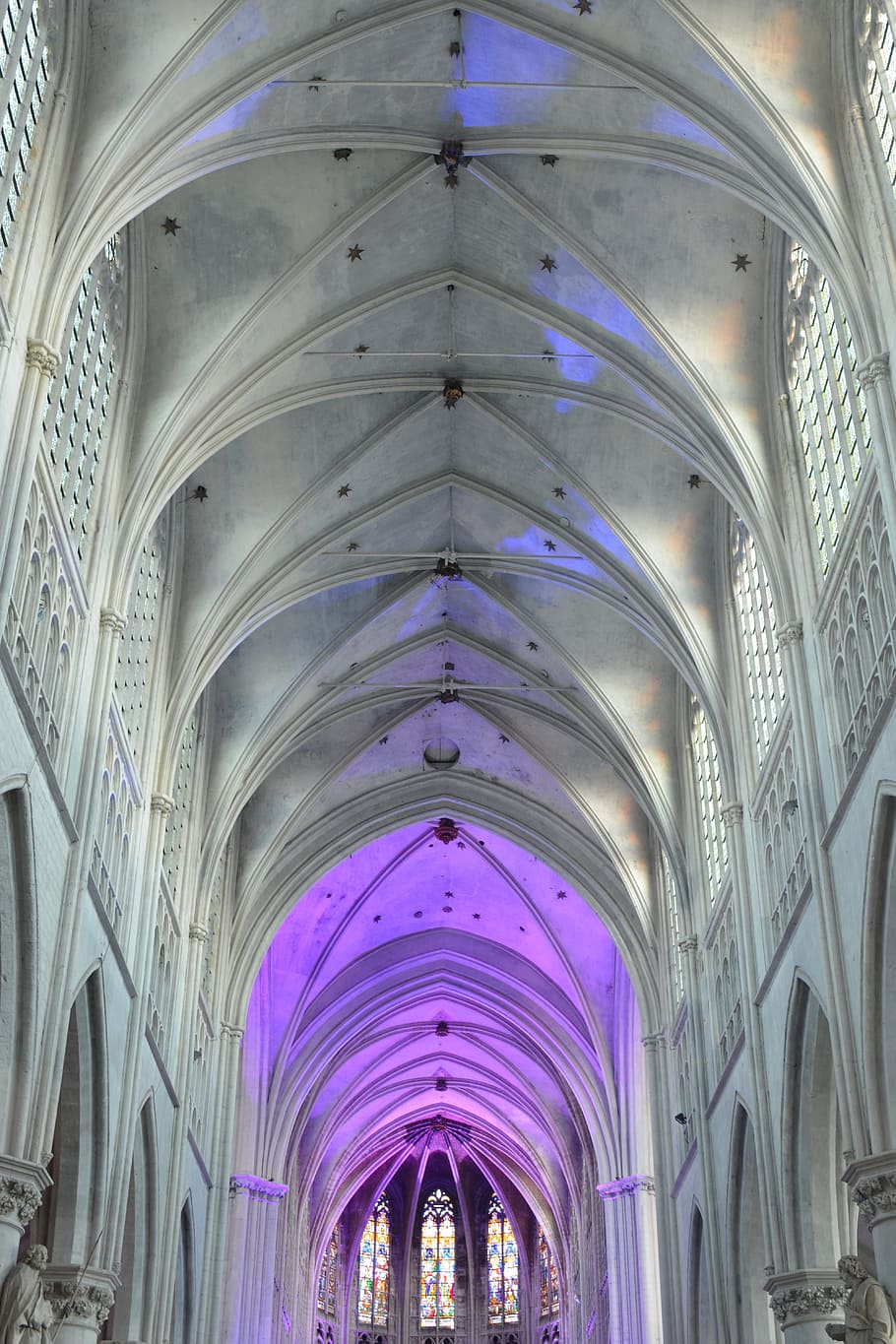 church, building, vaults, architecture, st rombouts cathedral HD wallpaper