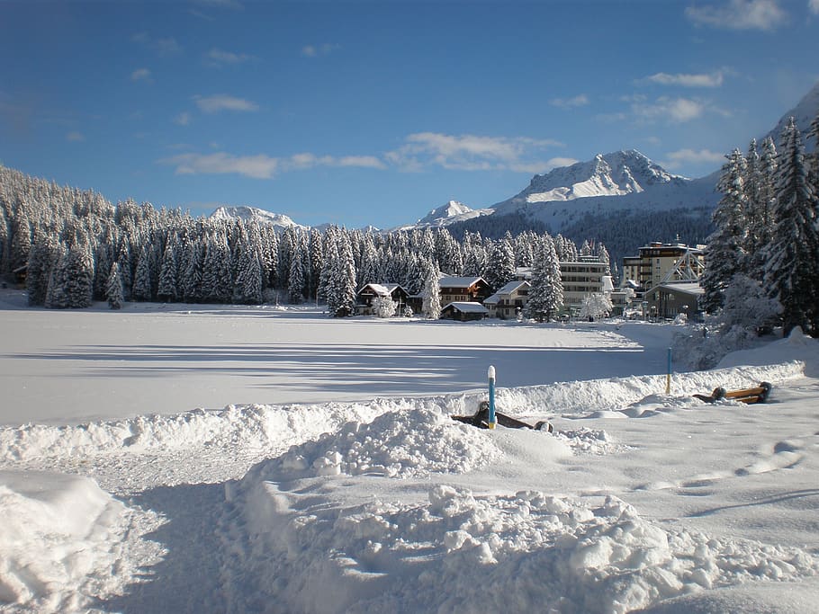 wintry, switzerland, arosa, winter, cold temperature, snow HD wallpaper