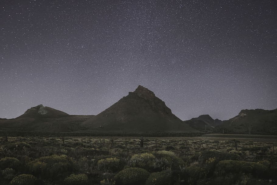 brown mountains under starry sky during nighttime, mountain near trees HD wallpaper