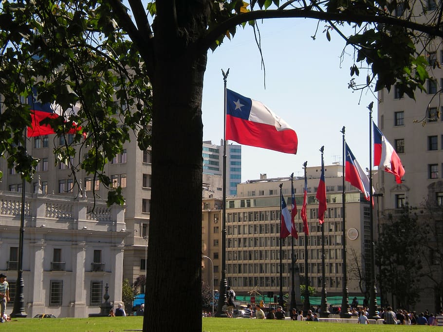 chile, country, flag, architecture, building exterior, tree HD wallpaper