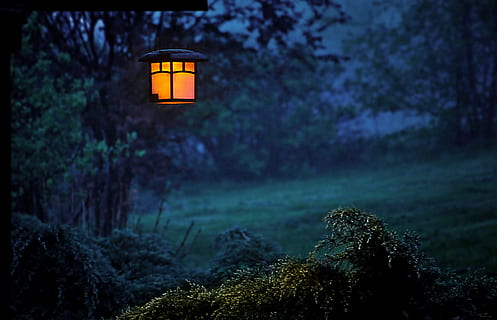 black lantern post surrounded by green leaf trees, twilight HD wallpaper