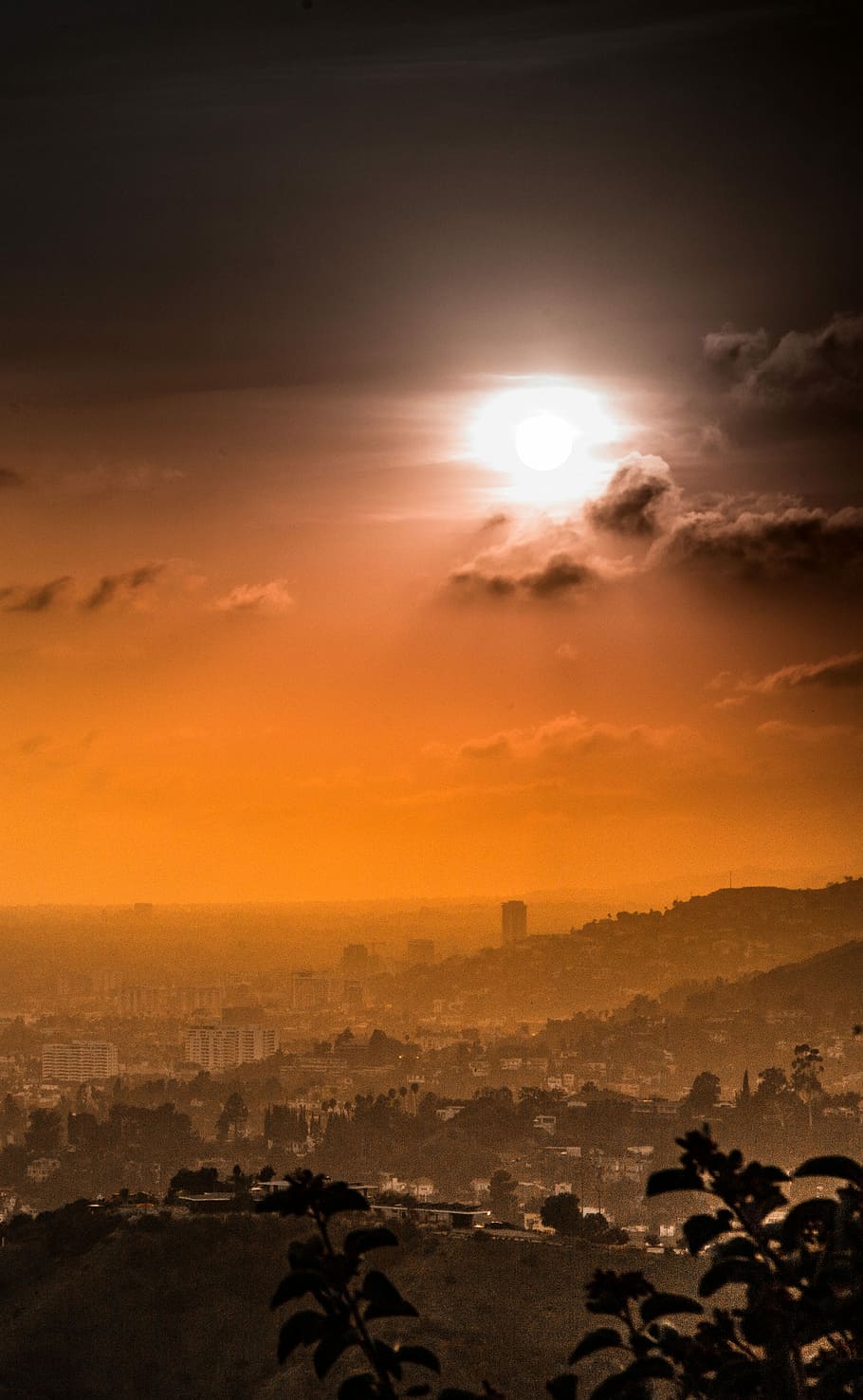 aerial photography of city skyline during golden hour, hill view of the city during day HD wallpaper