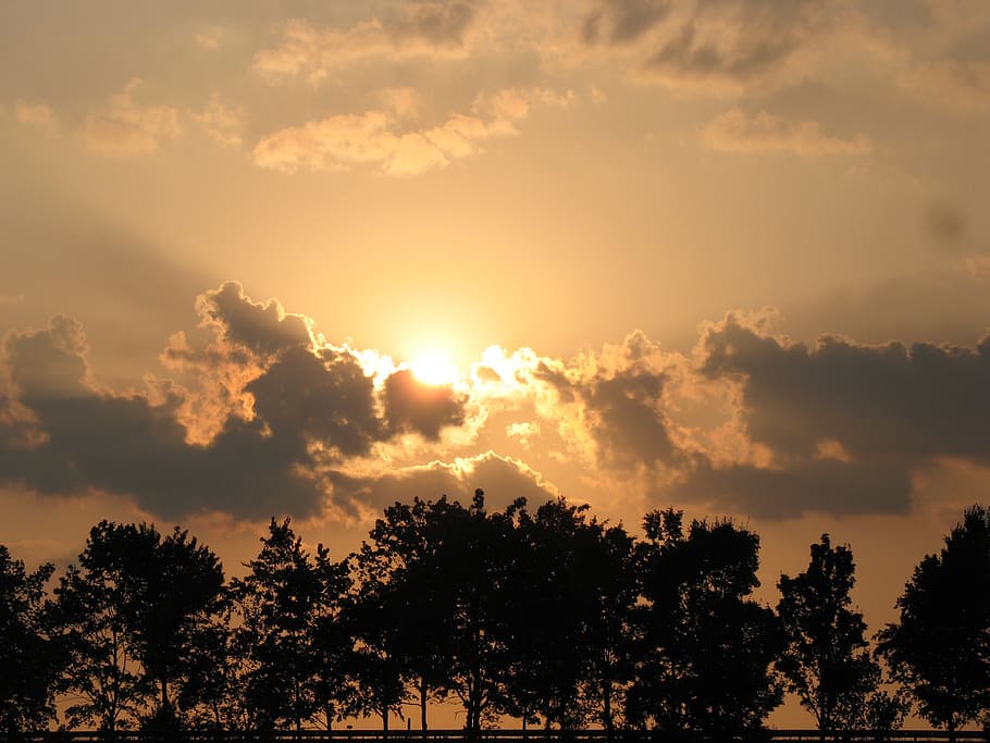 sunset, abendstimmung, trees, mood, sky, plant, beauty in nature HD wallpaper