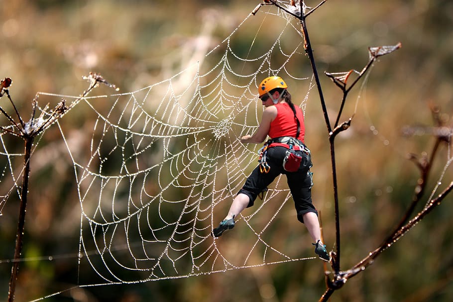 women's red tank top, climbing, cobweb, unsecured, mountaineer HD wallpaper