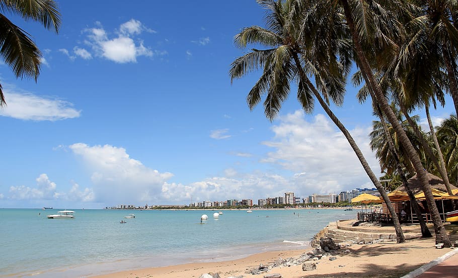 beach resorts at daytime, Maceió, Brazilian, Beaches, Alagoas