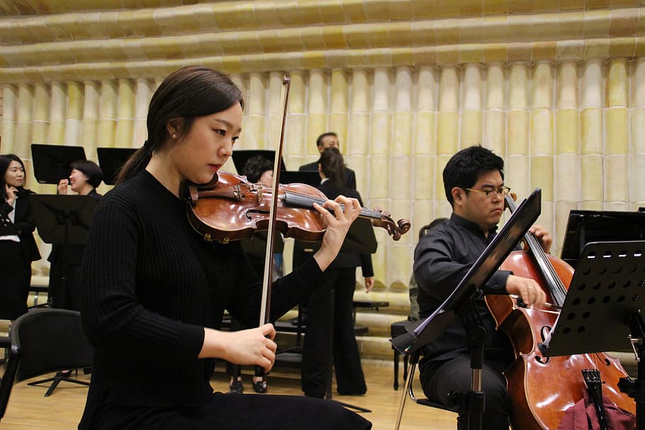 chamber, concert, stringed instruments, music, musical instrument HD wallpaper
