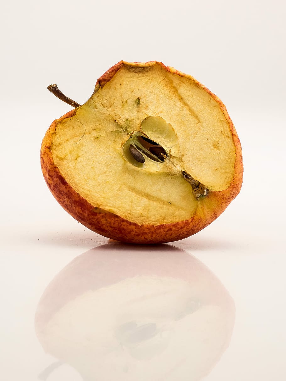 Dried apple, close up, dry, fruit, food, freshness, nature, close-up HD wallpaper