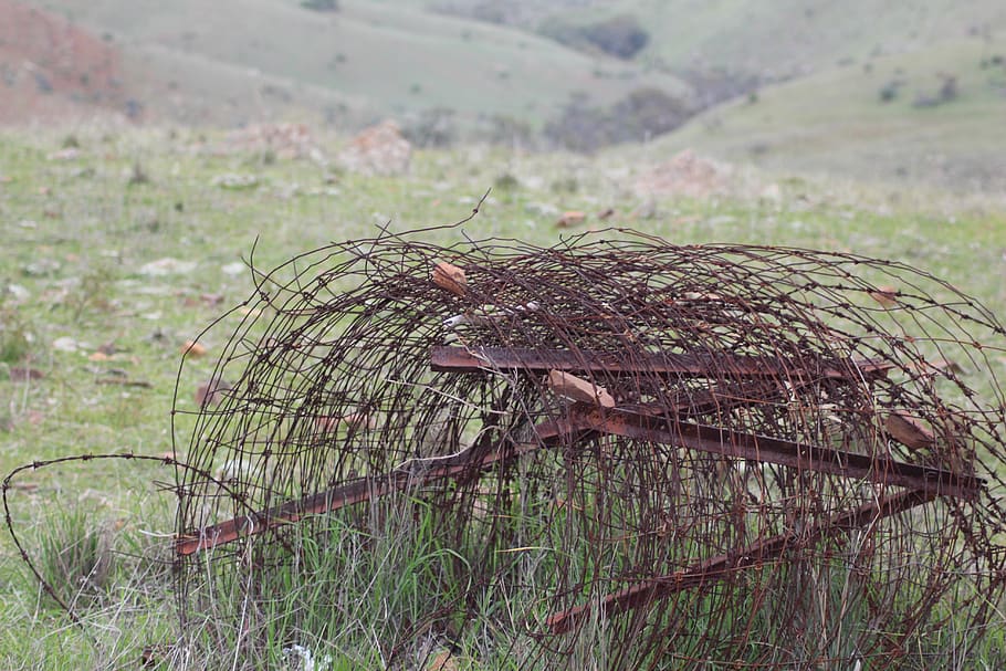 barbed, wire, rusty, fence, sharp, outback, hills, rural, rustic HD wallpaper