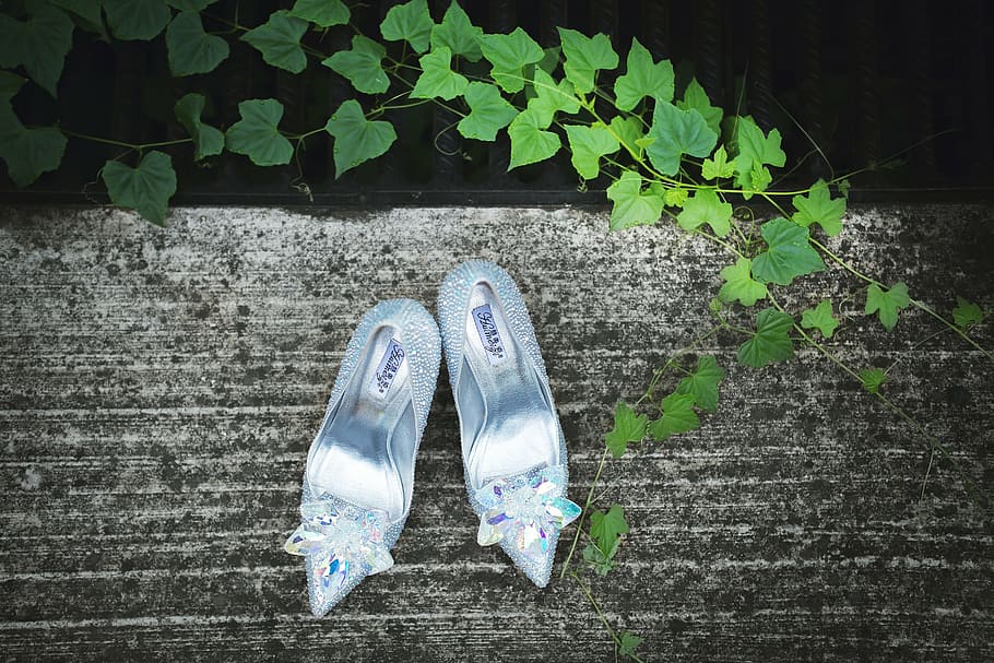 pair of women's silver pointed-toe shoes with flower accent near green plant, HD wallpaper