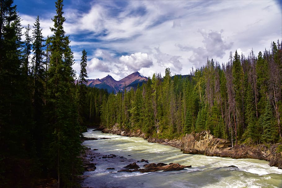 River, Woods, Creek, Scenery, sky, the scenery, natural, canada HD wallpaper