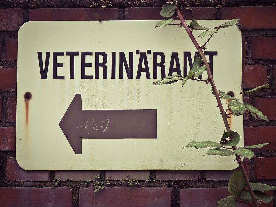 shield, old, old sign, note, input, rusty, nostalgia, text HD wallpaper