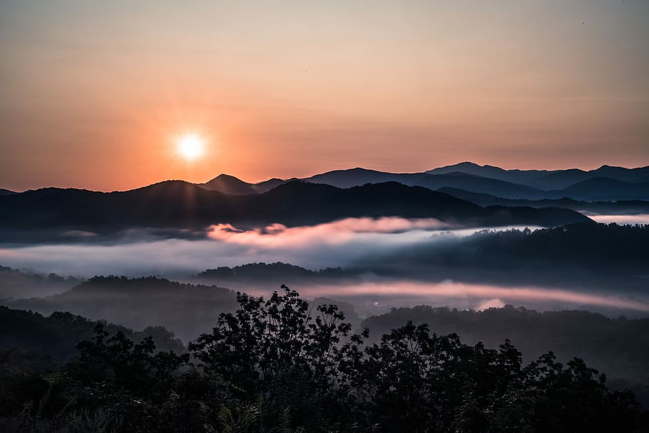 First Light, silhouette photo of mountain and trees during dawn HD wallpaper