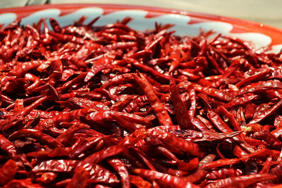 Dried chilis, pepper, red, red chili, spicy, food, chili Pepper, HD wallpaper